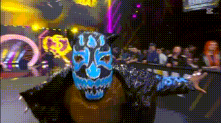 a wrestler wearing a mask with a skull on it is standing in front of a crowd .