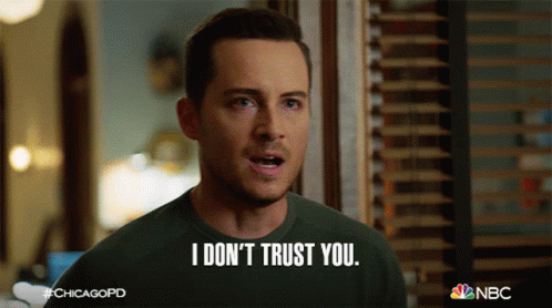 I Dont Trust You Jay Halstead GIF - I Dont Trust You Jay Halstead Chicago Pd GIFs