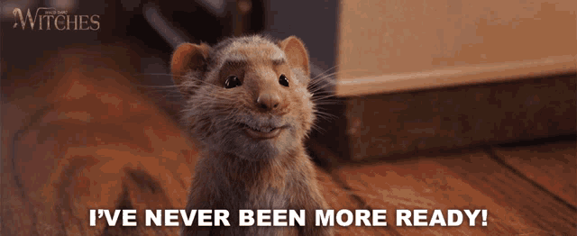 a picture of a ferret with the words i 've never been more ready