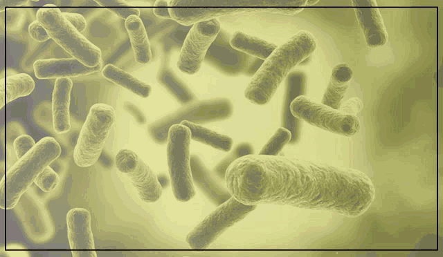 an air purifier for killing bacteria is advertised on a website