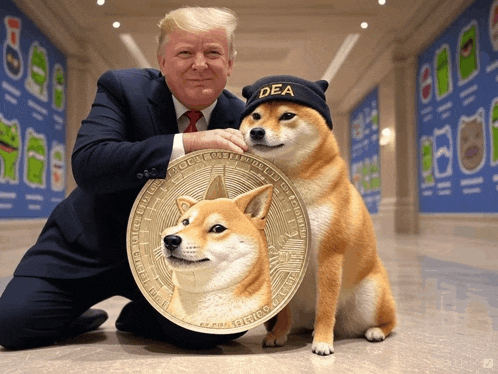 a man wearing a dea hat kneeling next to a doge