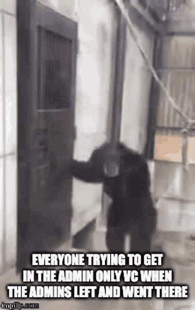 a chimpanzee is trying to get in the admin only vc when the admins left and went there ..