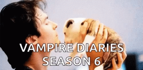 The Vampire Diaries Tvd GIF - The Vampire Diaries Tvd Damon GIFs