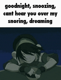 Goodnight Sleep GIF