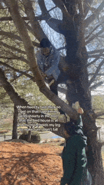a man climbs a tree while a woman holds his leg