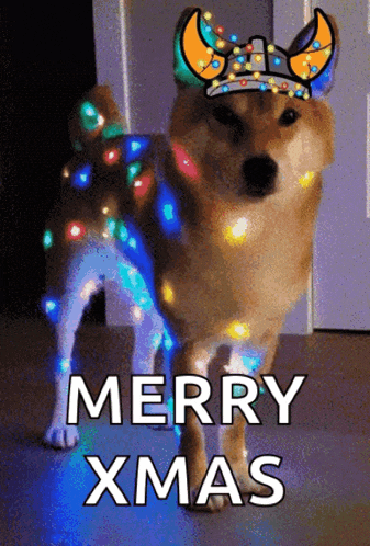 a dog wearing a viking hat with christmas lights on it