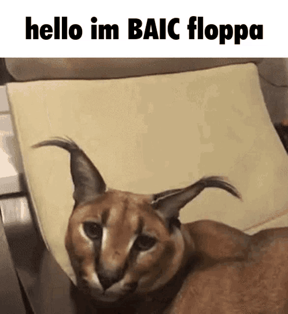 Baic Floppa GIF - Baic Floppa Blood GIFs