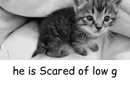 a black and white photo of a kitten with the words " he is scared of low g " below it