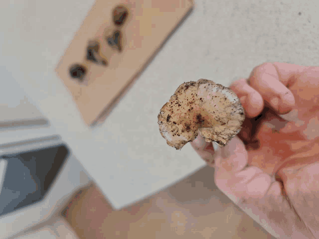 a person holding a mushroom in their hand with a cutting board in the background