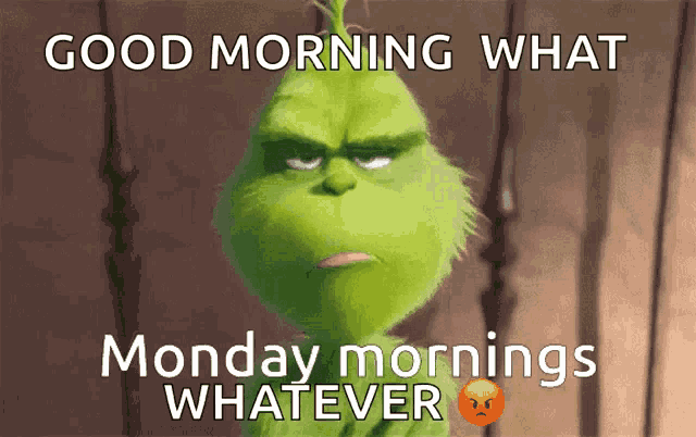 a grumpy grinch with the words good morning what monday mornings whatever