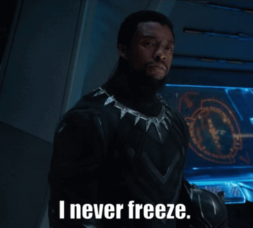Black Panther I Never Freeze GIF - Black Panther I Never Freeze Tchalla GIFs