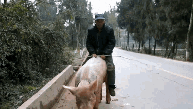 Pigman GIF - Pigman GIFs