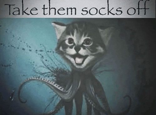a picture of an octopus cat with the words take them socks off underneath it
