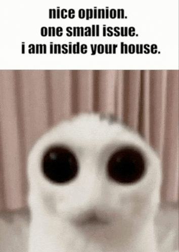 a blurred image of a cat with the words nice opinion one small issue i am inside your house .