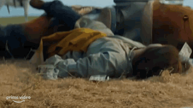 a person is laying on the ground in a field with a cow .