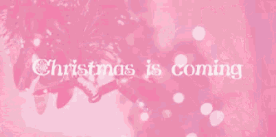 a pink background with the words `` christmas is coming '' written on it .
