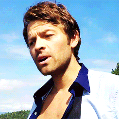 a man without a shirt is looking at the camera with a blue sky behind him