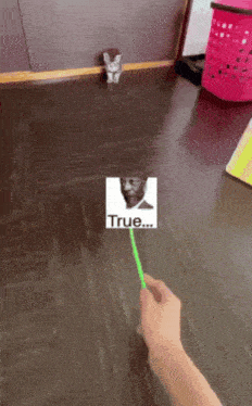 a person is holding a stick with a picture of a man on it and the word true on it