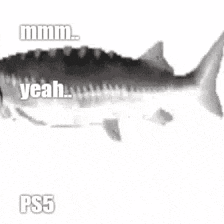 a black and white photo of a fish with the words yeah and ps5 written on it