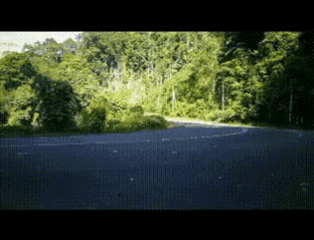 a road with trees on the side of it