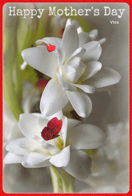 a happy mother 's day card with white flowers and a red heart
