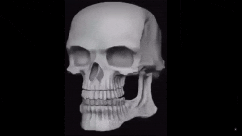 a black and white drawing of a skull on a black background .
