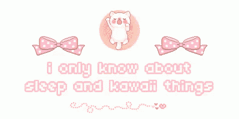 a pixel art of a cat with bows and the words i only know about sleep and kawaii things