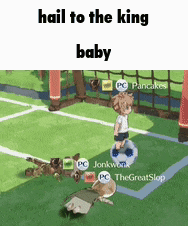 a cartoon of a boy holding a soccer ball on a field with the caption hail to the king baby .