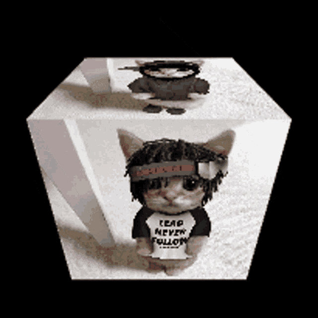 Playboi Cat GIF - Playboi Cat Chief Keef GIFs