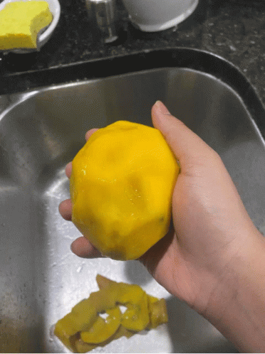 Mango Dissapearing Mango GIF - Mango Dissapearing Mango GIFs