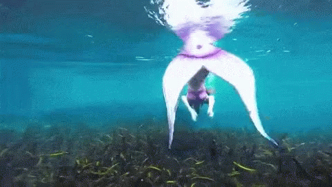 Mermaid Siren GIF - Mermaid Siren GIFs