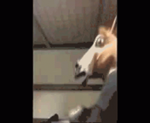 Horse_reload GIF - Horse_reload GIFs