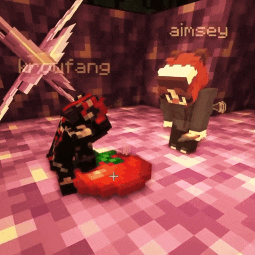 a screenshot of a minecraft game with the name aimsey