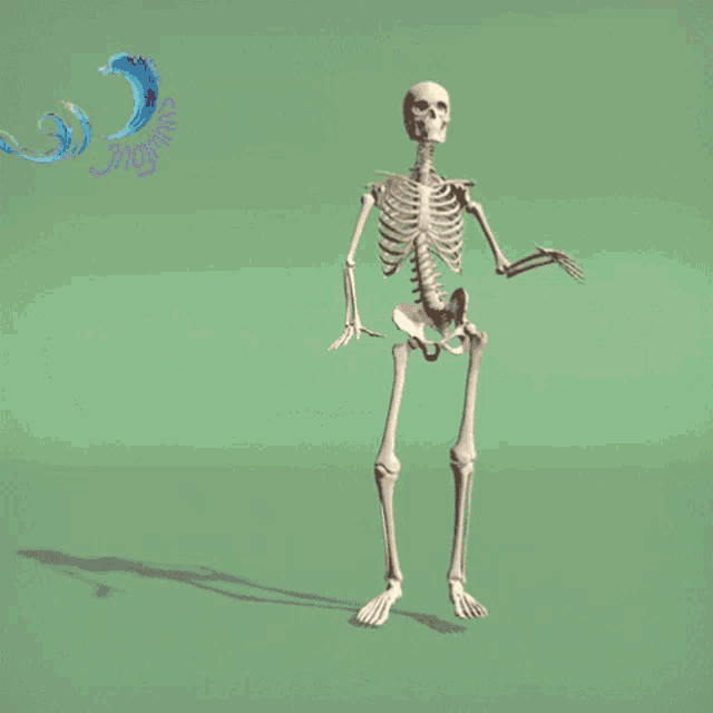 ვაჯაზებთ Skeleton GIF - ვაჯაზებთ Skeleton სკილეტი GIFs