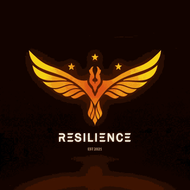 Unsc Resilience Logo GIF - Unsc Resilience Resilience Logo GIFs