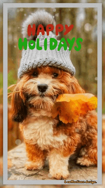 a picture of a dog wearing a hat and holding a leaf with the words happy holidays on it