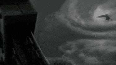 a black and white image of a bird flying through a cloudy sky