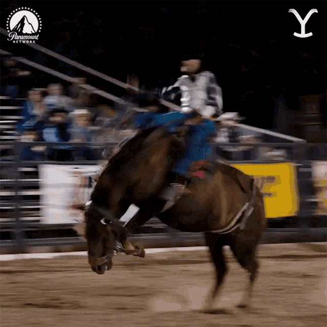Rodeo Yellowstone GIF - Rodeo Yellowstone Cowboy GIFs