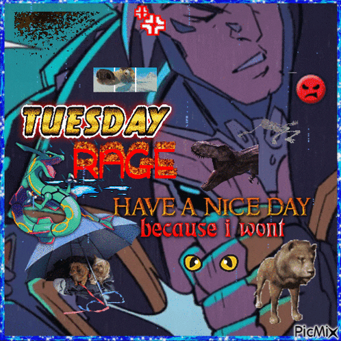 a collage of images with the words tuesday rage have a nice day because i won t