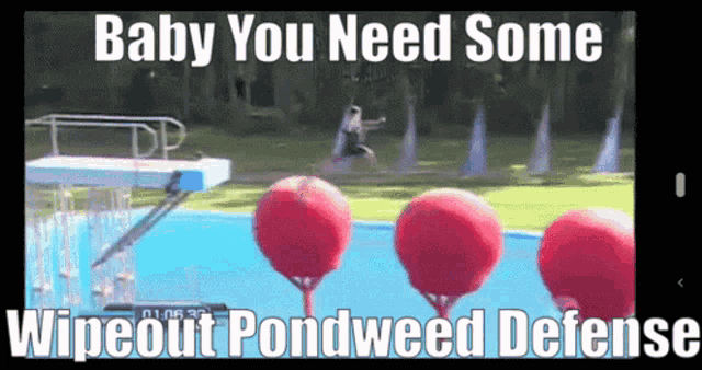 a wipeout pondweed defense advertisement with a man jumping into a pool