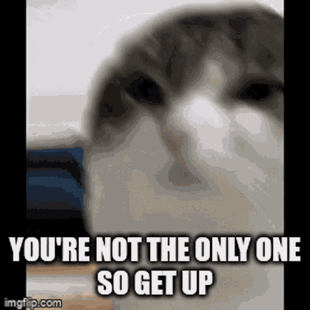 Youre Not The Only One So Get Up GIF