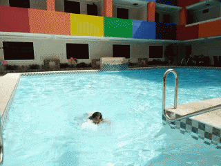 Swimming Swimming Pool GIF - Swimming Swimming Pool Reverse GIFs