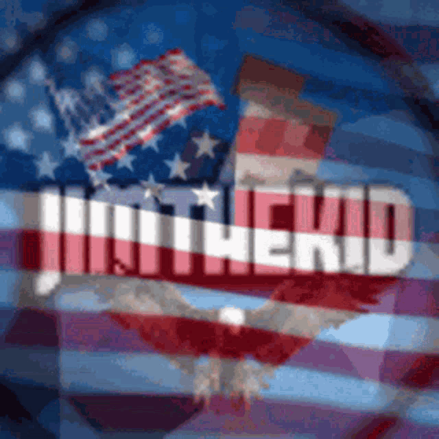 a blurred image of an american flag with the words " motherid "
