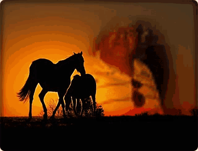 a silhouette of two horses standing next to each other at sunset