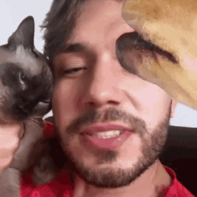 a man with a beard and a cat on his face