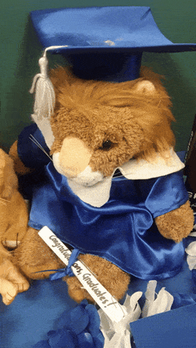 a stuffed lion wearing a graduation cap and gown with congratulations written on it