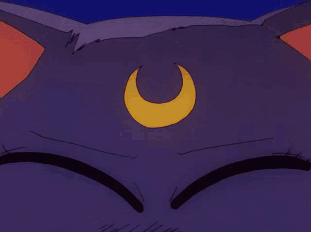 a close up of a cat 's eyes with a crescent moon