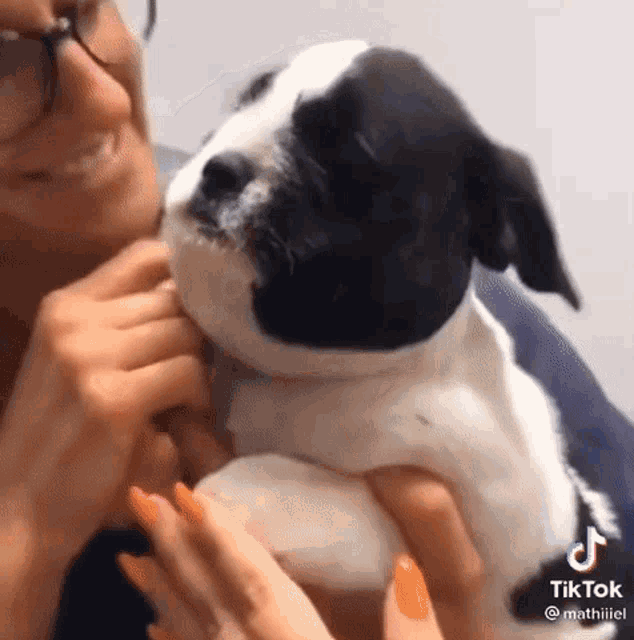 a woman is holding a black and white puppy in her arms and smiling .
