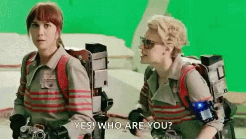 Kate Mckinnon Yes Who Are You GIF - Kate Mckinnon Yes Who Are You Ghost Busters GIFs