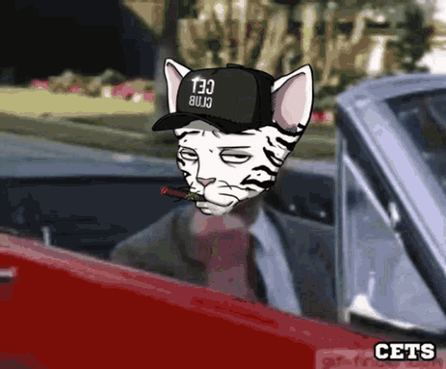 a cat wearing a hat that says 130 bujo smoking a cigar